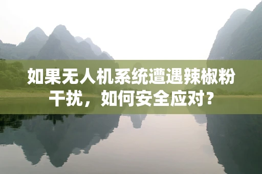 如果无人机系统遭遇辣椒粉干扰，如何安全应对？