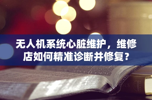 无人机系统心脏维护，维修店如何精准诊断并修复？