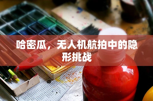 哈密瓜，无人机航拍中的隐形挑战