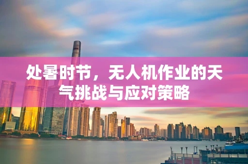 处暑时节，无人机作业的天气挑战与应对策略