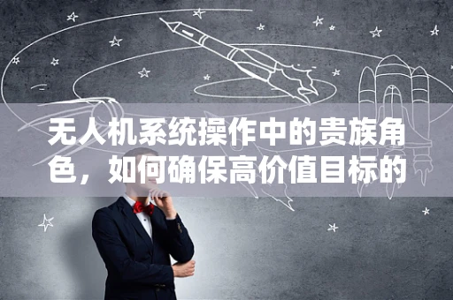 无人机系统操作中的贵族角色，如何确保高价值目标的精准监控？