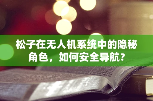 松子在无人机系统中的隐秘角色，如何安全导航？