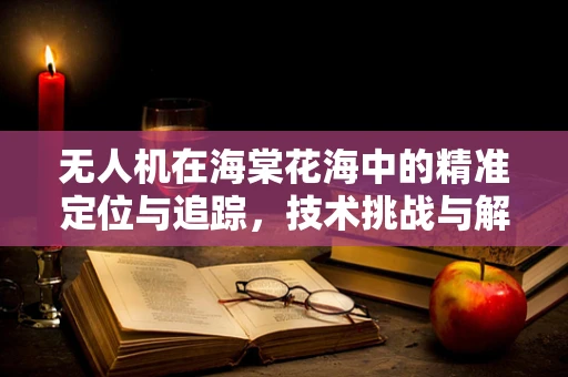 无人机在海棠花海中的精准定位与追踪，技术挑战与解决方案