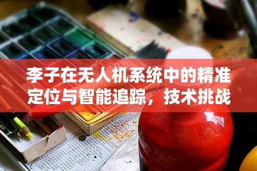 李子在无人机系统中的精准定位与智能追踪，技术挑战与解决方案