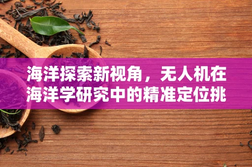 海洋探索新视角，无人机在海洋学研究中的精准定位挑战