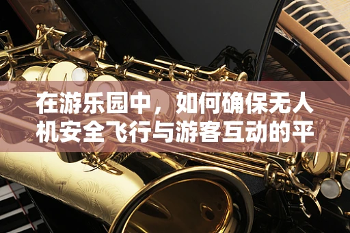 在游乐园中，如何确保无人机安全飞行与游客互动的平衡？