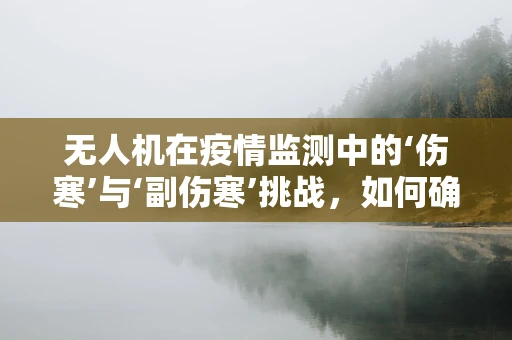 无人机在疫情监测中的‘伤寒’与‘副伤寒’挑战，如何确保安全操作？