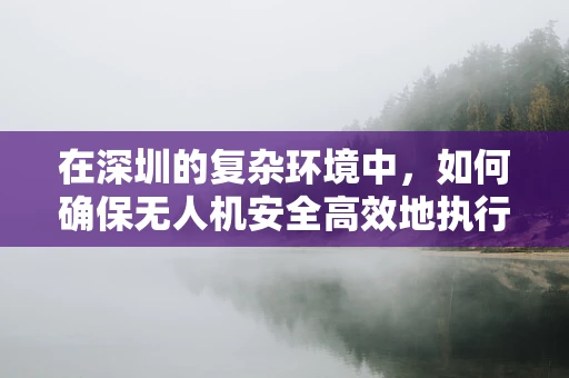 在深圳的复杂环境中，如何确保无人机安全高效地执行任务？