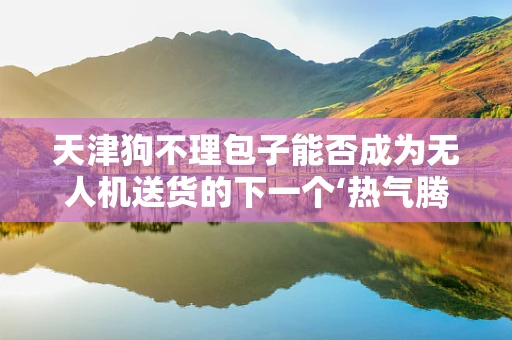 天津狗不理包子能否成为无人机送货的下一个‘热气腾腾’的商机？