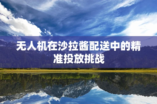 无人机在沙拉酱配送中的精准投放挑战