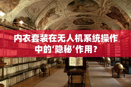 内衣套装在无人机系统操作中的‘隐秘’作用？