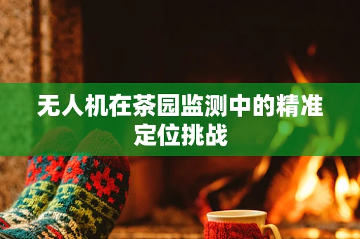 无人机在茶园监测中的精准定位挑战