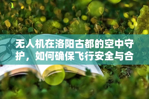 无人机在洛阳古都的空中守护，如何确保飞行安全与合规？