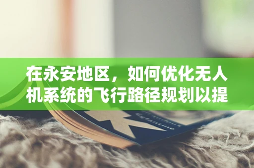 在永安地区，如何优化无人机系统的飞行路径规划以提升作业效率？