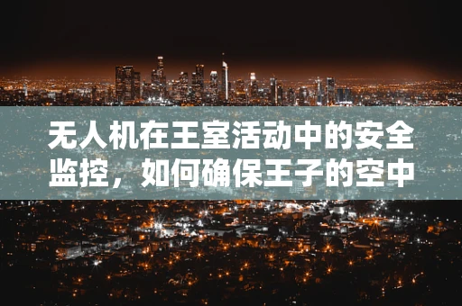 无人机在王室活动中的安全监控，如何确保王子的空中安全？