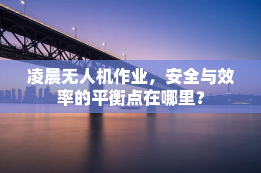 凌晨无人机作业，安全与效率的平衡点在哪里？