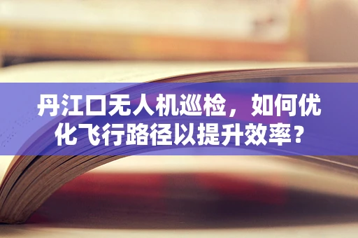 丹江口无人机巡检，如何优化飞行路径以提升效率？