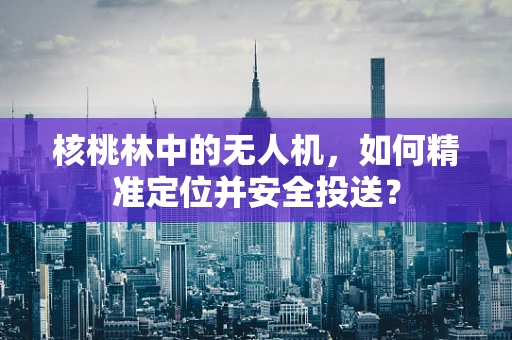 核桃林中的无人机，如何精准定位并安全投送？