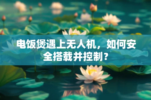 电饭煲遇上无人机，如何安全搭载并控制？