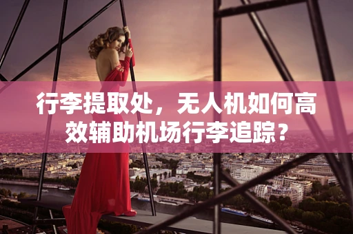 行李提取处，无人机如何高效辅助机场行李追踪？