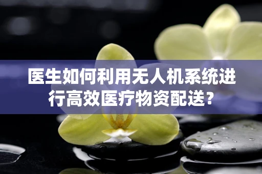 医生如何利用无人机系统进行高效医疗物资配送？