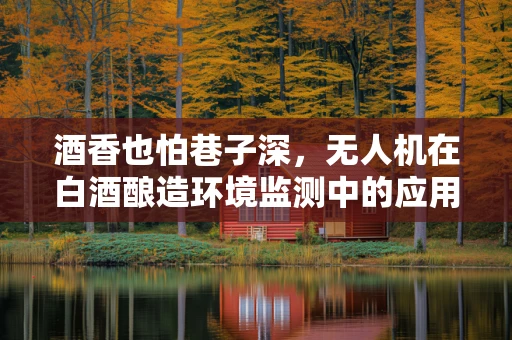 酒香也怕巷子深，无人机在白酒酿造环境监测中的应用挑战