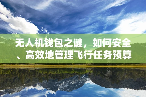 无人机钱包之谜，如何安全、高效地管理飞行任务预算？