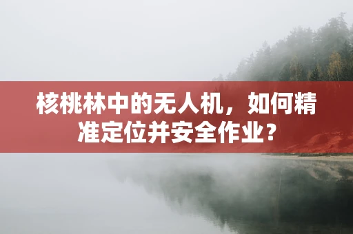 核桃林中的无人机，如何精准定位并安全作业？
