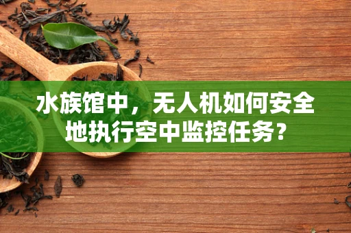 水族馆中，无人机如何安全地执行空中监控任务？