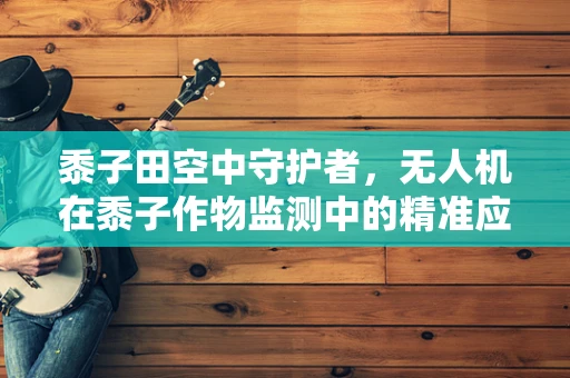 黍子田空中守护者，无人机在黍子作物监测中的精准应用挑战