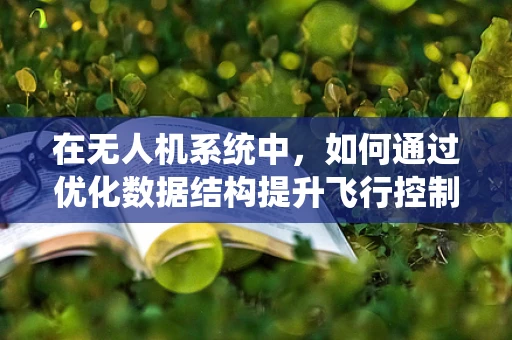 在无人机系统中，如何通过优化数据结构提升飞行控制效率？