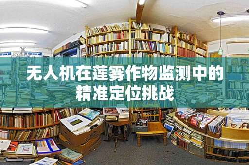 无人机在莲雾作物监测中的精准定位挑战