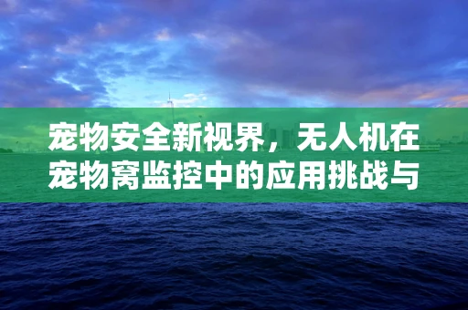 宠物安全新视界，无人机在宠物窝监控中的应用挑战与解决方案