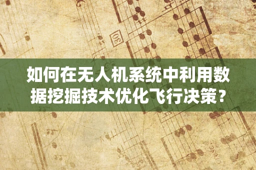 如何在无人机系统中利用数据挖掘技术优化飞行决策？