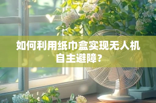 如何利用纸巾盒实现无人机自主避障？