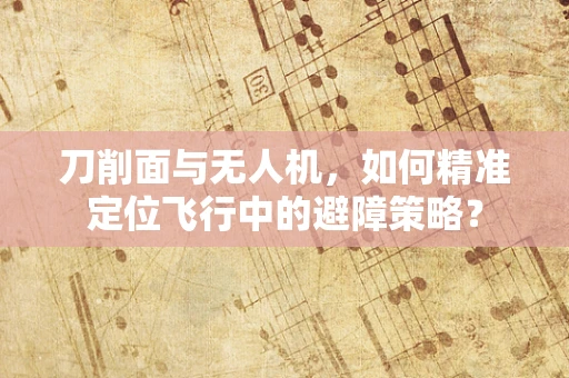 刀削面与无人机，如何精准定位飞行中的避障策略？