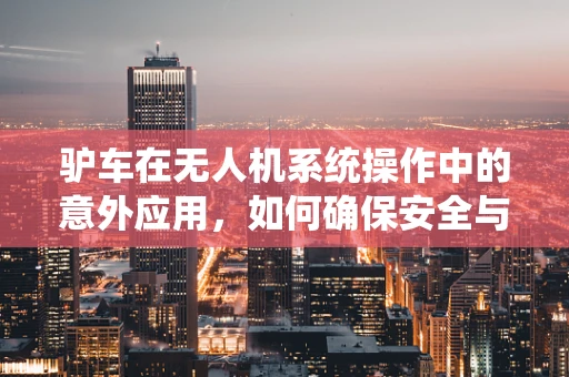 驴车在无人机系统操作中的意外应用，如何确保安全与效率？