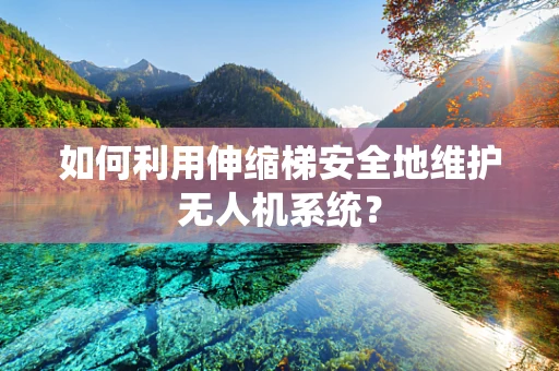 如何利用伸缩梯安全地维护无人机系统？