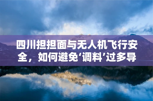 四川担担面与无人机飞行安全，如何避免‘调料’过多导致的‘失控’？