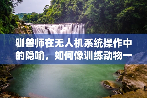 驯兽师在无人机系统操作中的隐喻，如何像训练动物一样控制无人机？