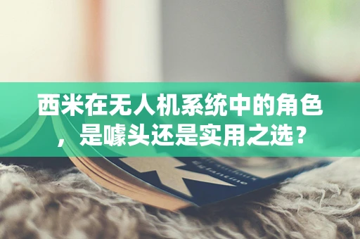 西米在无人机系统中的角色，是噱头还是实用之选？