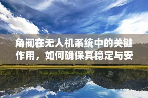 角阀在无人机系统中的关键作用，如何确保其稳定与安全？