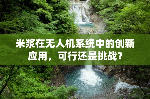 米浆在无人机系统中的创新应用，可行还是挑战？