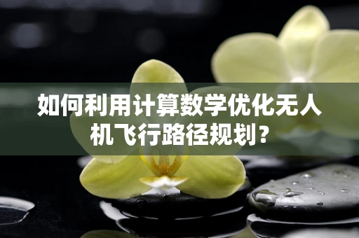 如何利用计算数学优化无人机飞行路径规划？