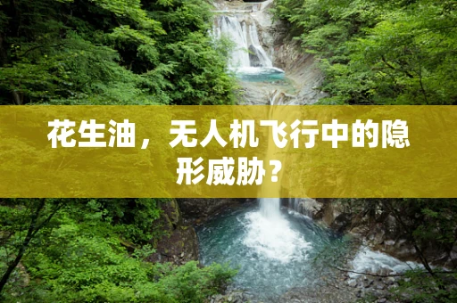花生油，无人机飞行中的隐形威胁？