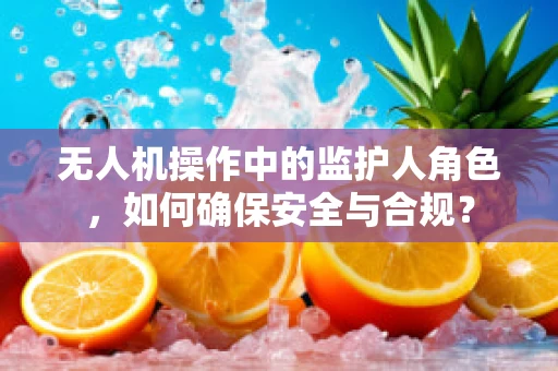 无人机操作中的监护人角色，如何确保安全与合规？