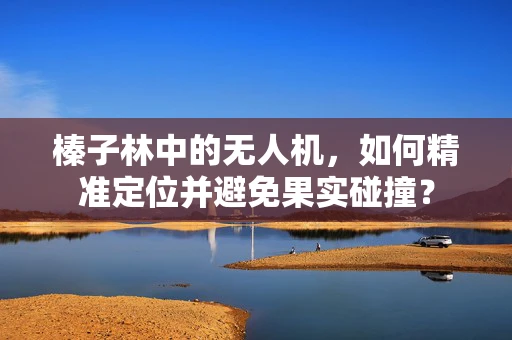 榛子林中的无人机，如何精准定位并避免果实碰撞？
