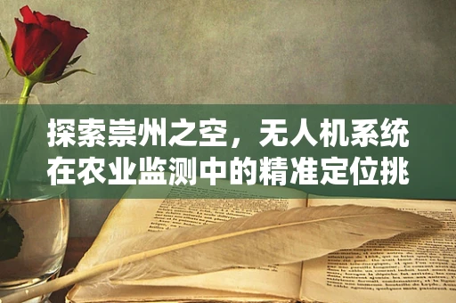 探索崇州之空，无人机系统在农业监测中的精准定位挑战