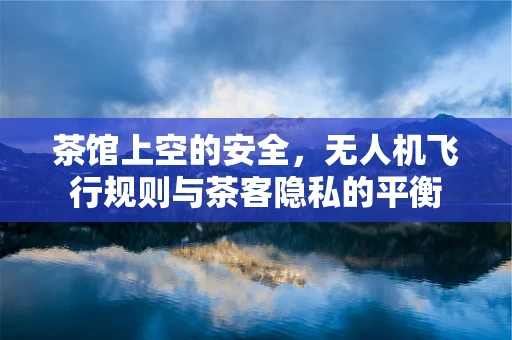 茶馆上空的安全，无人机飞行规则与茶客隐私的平衡