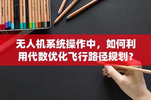无人机系统操作中，如何利用代数优化飞行路径规划？